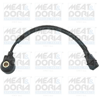 Knock Sensor